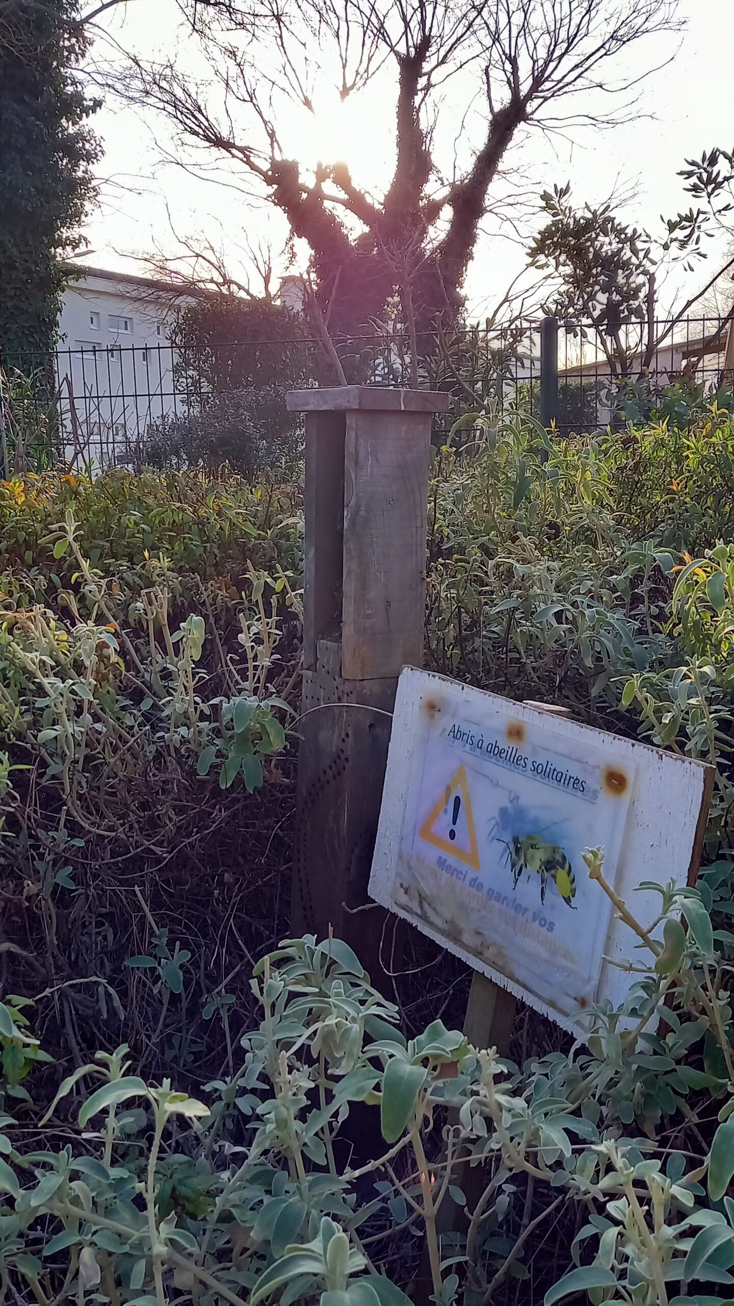 abri pour abeille solitaire bouillargues apicité